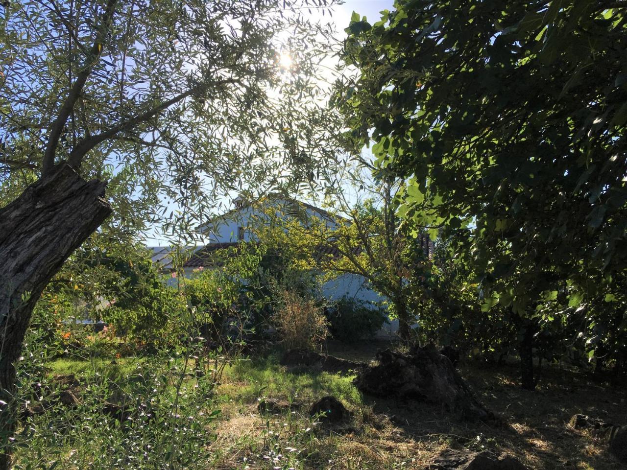 Finca Horno De Cal Aracena Luaran gambar